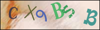 Registration Image