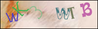 Registration Image