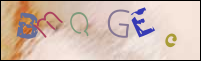 Registration Image