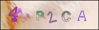 Registration Image