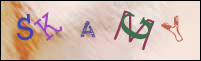 Registration Image